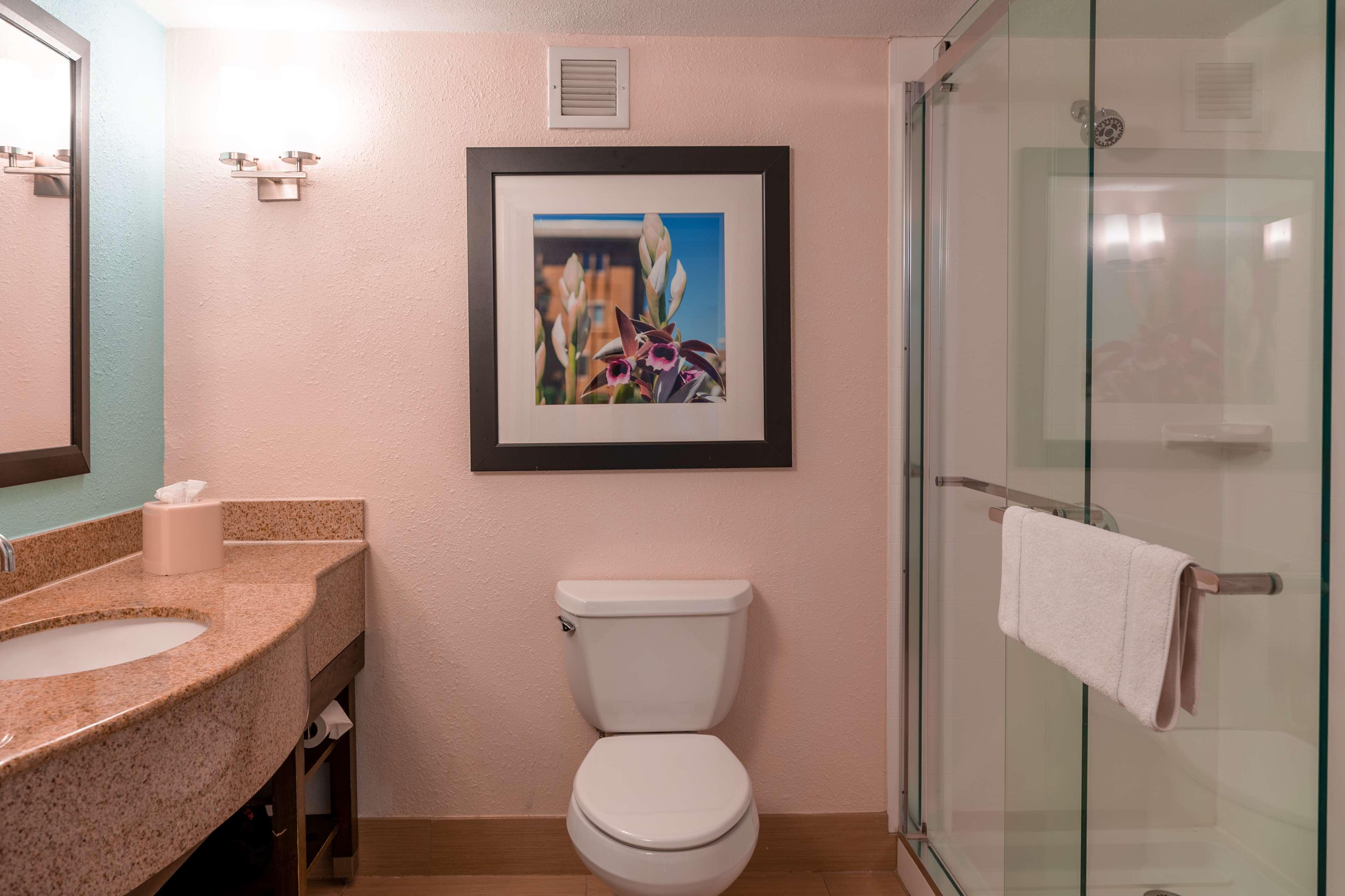 Hilton Garden Inn Orlando East - Ucf Area Alafaya Экстерьер фото